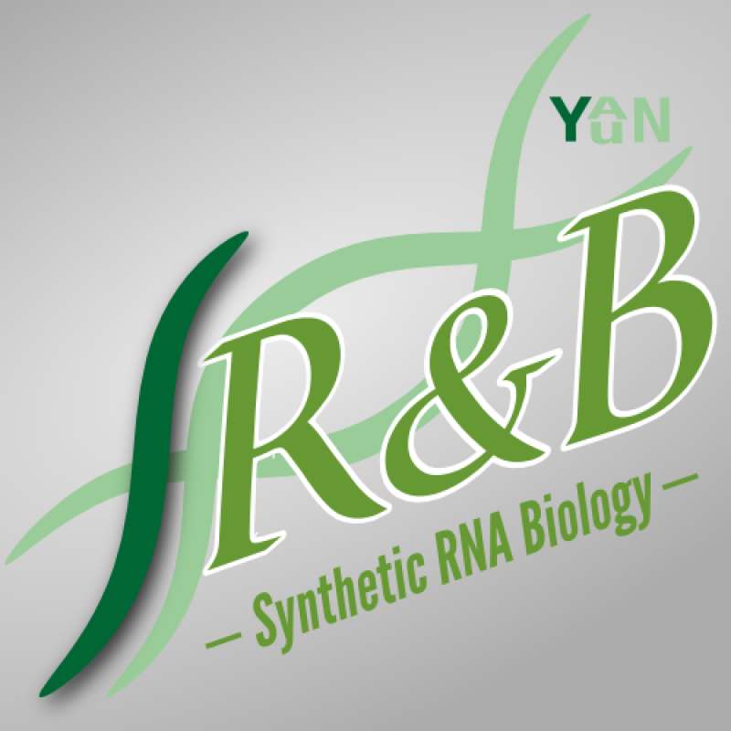 sR&B logo by YAN_Yun